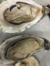 贝司令【鲜活】乳山生蚝海鲜特产贝类牡蛎烧烤3XL净重4斤 10-15只礼盒装 实拍图