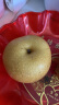 京鲜生 长城羊脂秋月梨 净重5斤 单果250g+ 生鲜水果 源头直发 包邮 晒单实拍图