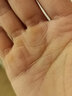 木匠印记电脑桌简约家用卧室书桌书架一体电脑桌床头桌学生床边学习桌 【升级实木板】新松色60cm 实拍图