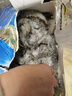 GUO LIAN国联水产 白虾大虾沙特虾 白对虾加大号 活虾急冻 虾类 盒装活冻 加大号盐冻沙特虾 4斤(净重) 实拍图