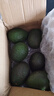 鲜级佳秘鲁进口牛油果鳄梨新鲜水果微催熟爽滑细腻宝宝辅食单果水果当季 实惠大果 150-170g 【6个装】 实拍图