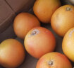 潇月月红心西柚5斤单果350g以上 新鲜葡萄柚子水果健康轻食 晒单实拍图