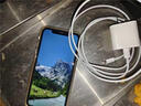 原装适配苹果iPad充电器30W瓦PD快充9.7英寸平板ipad2/3/4/5/6充电头iPad第7/8/9代10.2英 【30W快充头+1.5米线】 实拍图