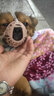 养只宠物（YOUNGER PET）狗狗嘴套防咬防叫防乱吃口罩小型犬宠物嘴罩泰迪用品大型狗套狗罩 尼龙绑带狗嘴套 2号（嘴围18cm以内8-15斤） 实拍图
