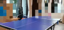 双鱼 乒乓球桌室内家用可折叠 移动带轮乒乓球台 JD200附网架赞商品 晒单实拍图