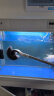 憨憨乐园鱼缸刷95cm海螺刷子无死角刷鱼缸清洁神器长把长柄除藻工具 实拍图