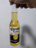 科罗娜（CORONA）特级啤酒330ml*24瓶啤酒整箱装经典拉格百威集团年货节送礼 实拍图