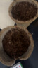 IAM City Farmer猫薄荷 可降解花盆套装 猫草四季好种 儿童幼儿园种植小盆栽10045 实拍图