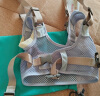 aardman婴儿学步带婴幼儿学走路神器背带安全防勒学步带透气款A2033绿色 实拍图