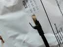 广昌兴 PLC伺服机通讯拖链CAT7类万兆工业网线Profinet七类高柔性双屏蔽SSTP以太网EtherCAT成品跳线 黑色1米 实拍图
