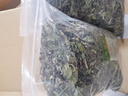 云南西双版纳猫须草500克 别名猫须公草肾茶化石草中药材正宗 正宗西双版纳猫须草-2斤 实拍图