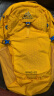 GREGORY格里高利NANO登山包徒步背包通勤双肩包-20L黄蜂黄24年新色 晒单实拍图