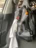 达亿瓦（DAIWA） ALUMINUM PLIERS α 铝制多功能路亚钳控鱼器钓鱼夹 剪线 LG 黑色 实拍图