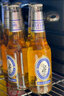 蓝妹（BLUE GIRL）蓝妹啤酒 酷爽啤酒 清啤 拉格啤酒 瓶装 330ml*24瓶 整箱装 330mL 24瓶 实拍图
