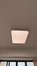 霍尼韦尔（Honeywell）客厅卧室护眼吸顶灯LED全光谱防蓝光防频闪护眼灯具理想光系列 02LGen 110W(适用16-22㎡) 晒单实拍图