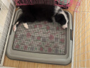 爱丽思（IRIS）狗厕所 防撕咬平板敞开式带网格宠物用品TFT65011 灰色 晒单实拍图