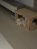 派阿哥实木太空舱猫窝大型猫爬架豪华剑麻猫树一体猫咪跳台太空舱猫架子 185cm 7层 P71【185*100*40】 轻奢松木板+实木剑麻柱 实拍图