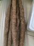 聚怀斋【温县特产馆】河南温县垆土铁棍山药2.5kg新鲜山药(盒长40cm） （盒长60公分）5斤 实拍图
