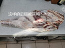 蒙羊煌（MENGYANGHUANG）内蒙古原切羊腿肉新鲜羊腿前后腿去骨带冷冻烧烤火锅食材羊肉生鲜 7斤内蒙带骨羊后腿（整只） 实拍图
