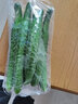 密水农家本地新鲜自种绿心黄瓜 鲜摘水果黄瓜 绿黄瓜 蔬菜 500g 实拍图