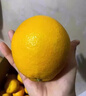 南步湖南道州脐橙 永州特产道县纽荷尔脐橙橙子果冻橙手剥橙新鲜水果 5斤 精选大果【单果75-90mm】 实拍图
