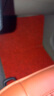 丽踏 朗逸大众2017款全新途观l途安suv凌渡专用凌度汽车丝圈脚垫 主驾驶单片正驾驶脚垫司机位地毯 主驾驶单片黑红色 晒单实拍图