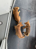 伯纳天纯狗粮经典全犬种奶糕粮 3周离乳幼犬、孕育、哺乳期母犬1.5kg  实拍图