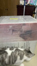 兽牌隧道猫爬架猫窝一体剑麻磨爪猫树小户型不占地猫屋【甲醛0超标】 实拍图