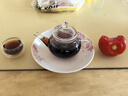 美斯尼 玻璃泡茶壶耐热茶具花果茶壶双层茶水杯子迷你玻璃小茶壶过滤网带把手家用加厚耐加热功夫玻璃套装 一壶 + 两杯 实拍图