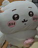 名创优品（MINISO）chiikawa大号挎包站姿公仔毛绒玩具玩偶抱枕礼物女 Chiikawa吉伊 实拍图