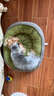 PEITE PET宠物猫狗窝冬季保暖可拆洗狗狗垫子大中小型犬四季通用睡垫沙发床 跑道窝-绿色【升级加厚加高】 M【50*40cm适合8斤内宠物使用】 实拍图