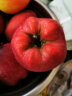 京鲜生 甘肃天水花牛苹果5kg装 单果200g起  新鲜水果 健康轻食 实拍图