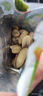 洽洽 花生米独立包装便携装坚果炒货休闲零食 椒盐花生仁共630g（42小袋） 实拍图