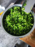 慕弗（MUPOOL）商用蔬果切粒机切丁机 胡萝卜丁土豆丁黄瓜水果切菜机小型家用 开孔款（8毫米刀网） 晒单实拍图