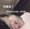艾伦伯顿（Alen Botun） 运动短袖t恤男夏季吸汗衣宽松跑步女速干衣服健身服凉感冰丝上衣 黑色【冰丝 透气】 3XL (190-220CM) 实拍图