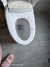 法恩莎（FAENZA）法恩莎智能马桶自动感应加热座圈FB16105/1653-2/-3/16163/16106 FB16105-A 智能马桶座圈 实拍图