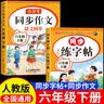 六年级上册下册同步字帖人教版2026小学六年级下册语文同步练字帖写字课课练6年级上下课本生字同步练习上学期钢笔习字帖部编版练字本 六下【2本】语文练字帖+同步作文 小学六年级 实拍图