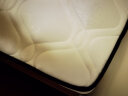 雅戈兰罗 (央视展播) 椰棕床垫硬棕垫薄榻榻米棕榈席梦思乳胶1.5米x床垫子 高密度3e棕总厚度10厘米（直板） 1.5米*2米 实拍图