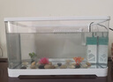 阔庭（KUOTING）鱼缸水族箱生态桌面鱼缸新款懒人鱼缸过滤制氧一体机黑色【大号】 实拍图