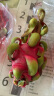京鲜生越南进口红心火龙果 3个装 大果 单果450-500g 生鲜水果 实拍图