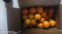 集南鲜  赣南脐橙 江西赣州手剥柑橘橙子当季孕妇新鲜水果橙子整箱礼盒 【精品橙】净重18斤（150-200g） 实拍图