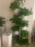 蜗家（WOJIA）花架户外客厅阳台家用装饰架简约花盆架多肉架庭院花架绿萝架层架 白色【8层可放9盆】 实拍图