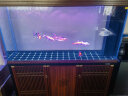 森森（SUNSUN）鱼缸水族箱生态造景玻璃底滤大型鱼缸客厅 超白隔断1.5米长42cm宽(双色可选)带礼包 晒单实拍图