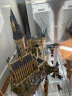乐高（LEGO）积木71043哈利波特-霍格沃兹城堡(豪华版) 旗舰限定生日礼物 晒单实拍图