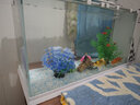 长锐侧滤鱼缸桌面办公室免换水生态水草超白水族箱 K600造景版【长63 宽27 高35】 实拍图