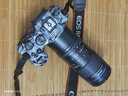 老蛙（LAOWA） 老蛙100mm F2.8 2倍放大全画幅百微超微距镜头 昆虫花卉人像 黑色【标配】 佳能微单RF卡口 实拍图