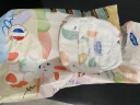 dodie杜迪兔兔柔纸尿裤成长裤拉拉裤轻薄透气柔软干爽婴幼儿尿不湿新版 兔兔柔拉拉裤XL(小内裤34片） 实拍图