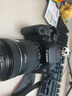 佳能/Canon 600D 700D 750D 760D 800D 850D二手单反相机新手学生入门旅游高清相机 700D+18-135 IS【套机】 准新 实拍图