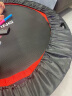 ADKING  蹦蹦床家用成人儿童训练跳跳床户外运动健身器材 双扶手款(50英寸) 全系折叠/高弹跳布 晒单实拍图