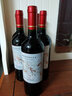 冰川文蒂斯酒庄智利原瓶进口红酒赤霞珠干红葡萄酒750ml 【品牌畅销款】攀登者精选级6瓶 实拍图